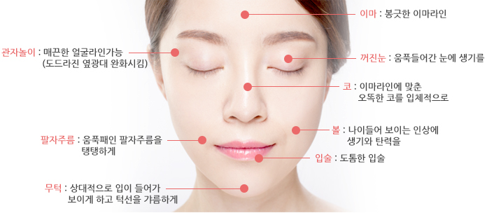 관자놀이 : 매끈한 얼굴라인가능(도드라진 옆광대 완화시킴), 이마:봉긋한 이마라인, 꺼진눈 : 움푹들어간 눈에 생기를, 코 : 이마라인에 맞춘 오똑한 코를 입체적으로, 팔자주름 : 움푹패인 팔자주름을 탱탱하게, 볼 : 나이들어 보이는 인상에 생기와 탄력을, 입술 : 도톰한 입술, 무턱 : 상대적으로 입이 들어가 보이게 하고 턱선을 갸름하게