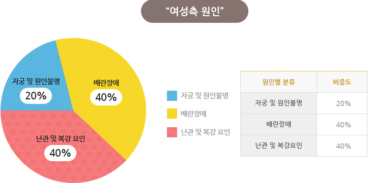 여성측 원인